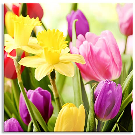 Pixxprint Quadro su vetro | Murale su vetro | Campane pasquali e tulipani | 60 x 60 cm | con sospensione e distanziatore