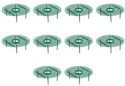 EBVincxmk 10 Pezzi Fragola Stand Telaio Balcone Rack Frutta Supporto Vite Colonna Giardinaggio Stand