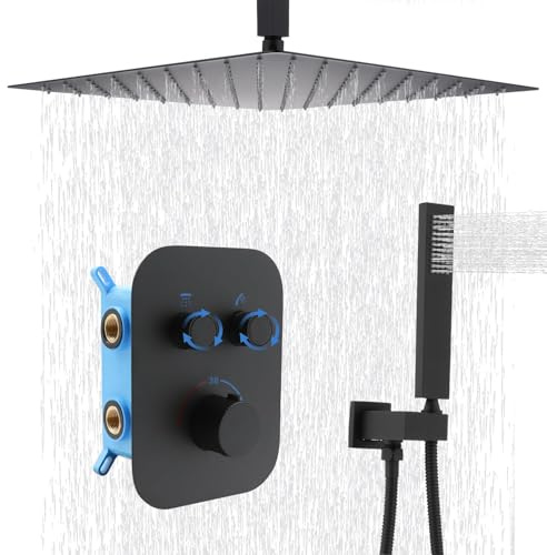 Delnet Upgraded Thermostatic Shower System, 16 Ceiling Mount Rain Shower, Adjustable Flow Control, Dual Mode Showering, Matte Black