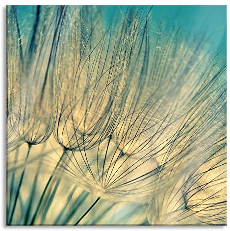 Pixxprint Glasbild, Wandbild auf Echtglas, Pusteblumen, 40x40 cm, inkl. Aufhängung und Abstandshalter
