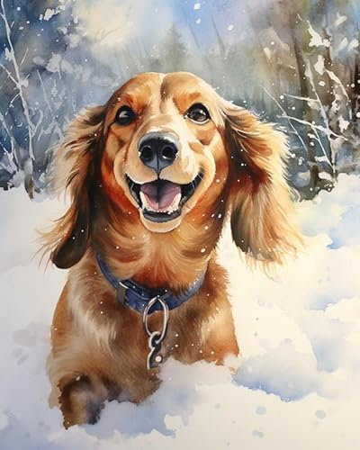 Malen nach Zahlen für Erwachsene,Anfänger,Dackel Hund,Malen nach Zahlen Set für Erwachsene,DIY-Geschenk-Leinwand-Malsets,40x50cm
