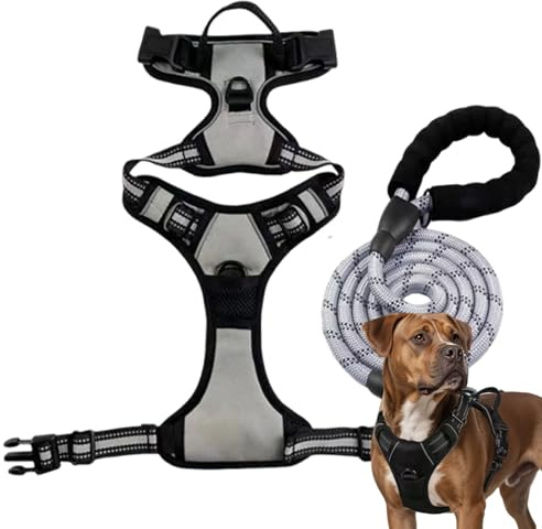 Anti Zug Hundegeschirr Mit Schleppseil, Anti Zieh Geschirr Für Kleine Mittelgroße Grosse Hunde, Anti Zug Brustgeschirr Sicherheitsseil, Kontrolle Ohne Ziehen, Einstellbar (Silbergrau,S)
