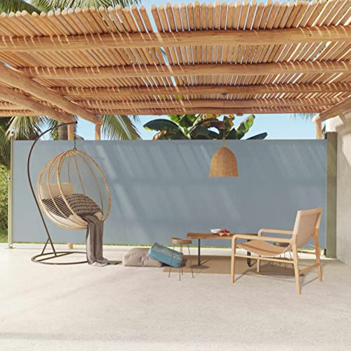 Cosisti Toldo Lateral Retráctil 180 x 600 cm, Pantalla de Terraza Patio, Separador Retráctil Terraza Protección De Vivienda, Retroceso Automático, Gris