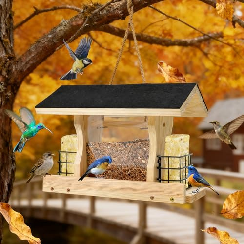 AIKER Mangeoire Oiseaux,Conception Exquise Améliorée Mangeoire Oiseaux Exterieur,avec Support De Balcon, Résistant Aux Intempéries, Grande Capacité Multifonctionnel Maison Oiseaux Exterieur