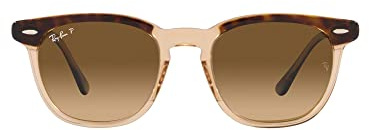 Ray-Ban Sonnenbrillen HAWKEYE RB 2298 Havana Transparent Brown/Brown Shaded 50/21/145 Unisex
