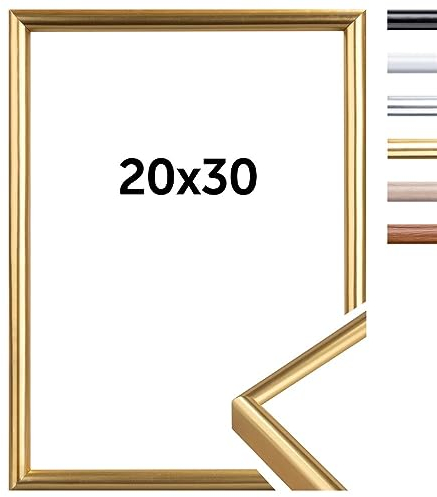 DÖRR Kunststoff Bilderrahmen New York - Modern - Echtes Glas Gold 20x30