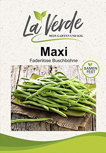 Buschbohne Maxi Bohnensamen
