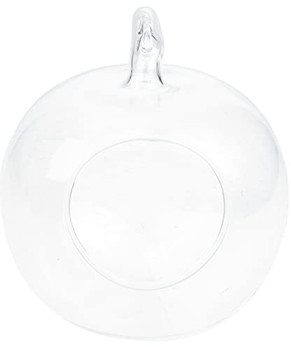 Yardwe Jarrón De Transparente Forma De Manzana Para Plantas Contenedor De Terrario Para Musgo Decoración Creativa Para Hogar y Oficina Para Interiores y Jardines