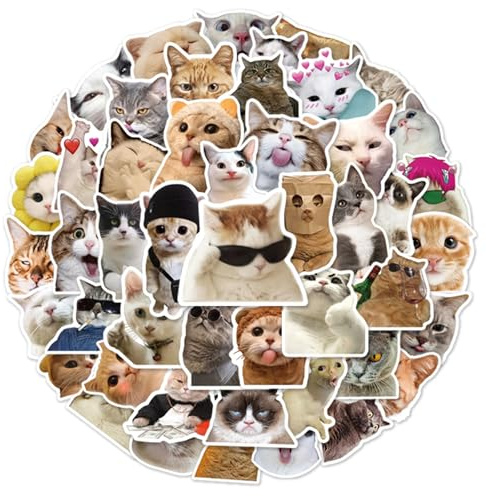 POPOYU 100pcs Realistic Cute Funny Cat Stickers for Teens,Cartoon Theme Water Bottle Stickers for Teens Boys Girls,Anime Vinyl Stickers Party Favors for KidsParty Bags Filler,Laptop,Skateboard