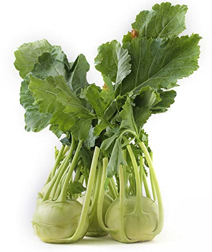 Kohlrabi - Kohlrabi wintergemüse steingartenpflanzen winterhart gemüsesamen - Seltene serie - balkonpflanzen winterhart winterfeste für kübel 300samen