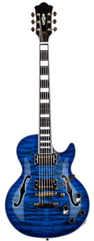 Professionelle Elektrische Gitarre LP E Gitarre Palisander Griffbrett Humbucker Tonabnehmer Fester Steg Für Anfänger Einfach Zu Spielen(Dark Blue)