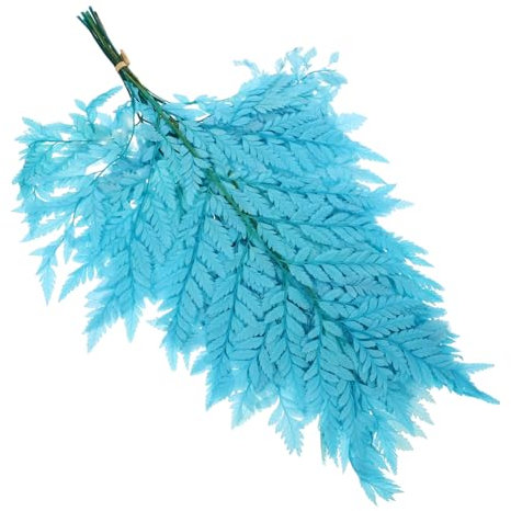 Alipis Getrocknete Pflanze Zum Basteln Bündel Pflanzen Natürlicher - Für Zuhause DIY Blumenarrangement Vasenfüllung Ohne Erde Und