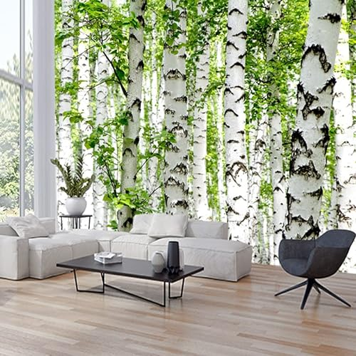 Vlies Fototapete Grüne Birke Landschaft 3D Effekt Vlies Tapeten Wandtapete XXL Moderne Wanddeko Wohnzimmer Schlafzimmer Büro Flur 350 cm B x256 cm H