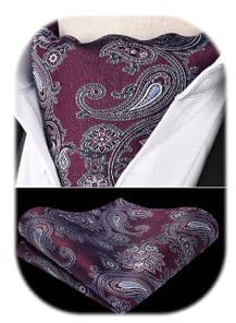 HISDERN Ascot Hombre y Pañuelo Burdeos Paisley Corbata Ascot Pañuelo de Seda para Hombre Elegante Boda Pañuelo Cuello