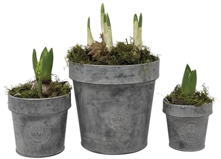 1x Round Zinc Planter - 3 Sizes, Rustic Grey Metal Plant Pot Tub, Kew Gardens Metal Plant Pot, Outdoor Garden Metal Tub, Garden Planter, Kew Gardens Zinc Metal Pot with Rim (Small)