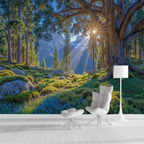 Carta Da Parati Panoramica La Luce Del Sole Filtra Attraverso La Foresta, Paesaggio Naturale Realistico Carta Da Parati in Seta per Soggiorno Camera Dei Bambini Decorazione Da Parete 250x175cm, Verde