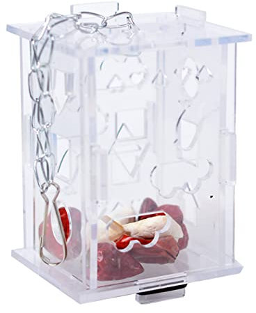 Parrot Feeder Foraggio Box Hanging Treat Foraggiamento Giocattolo Altalena Giocattolo Per Piccolo Uccello Trasparente Acrilico Supporto Cibo Per Conures