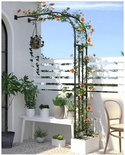 Rosenbogen Halbrund, Metall Gartenbogen Rankgitter Halbbogen Spalier für Rosen Und Kletterpflanzen, 60 90 120 180 240 300cm Wandmontage Torbogen Rankhilfe Rankgestell(W60xH240cm)