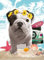 Nathan – Puzzle 500 Teile – Teo California – Teo Jasmin – Erwachsene und Kinder ab 12 Jahren – Premium-Puzzle – Fotokollektion – 12000953