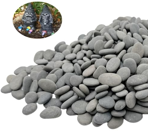 Lifetop Tiny River Rocks, 0.5-1.0 Pebbles for Plants & Succulents, Decorative Outdoor Landscaping Garden Rocks, Natural Pebbles Aquarium Rocks Gravel for Flower Bed Fish Tank Plants Vases (1LB)