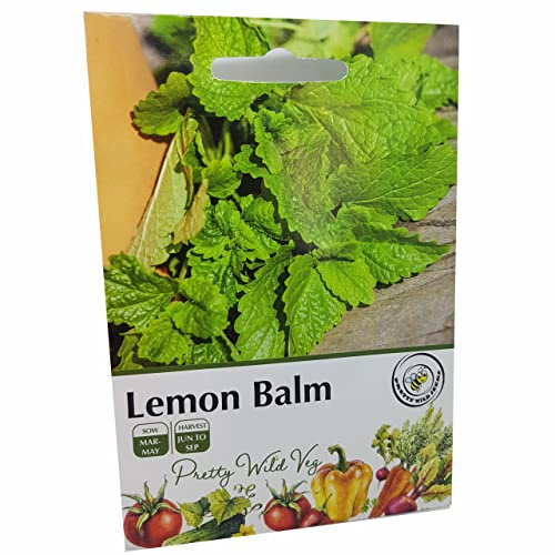 Lemon Balm Herb Seeds in Pictorial Packet from a UK Seller