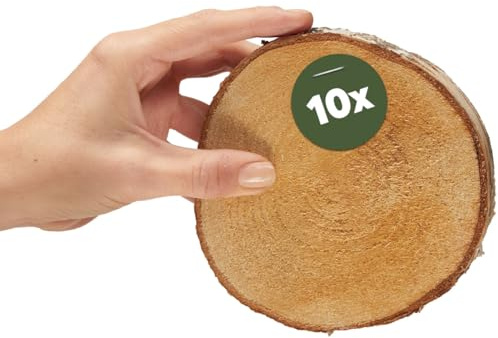 Kleine Holzscheiben zum Basteln oder Dekorieren - 10 Stück naturbelassene baum-scheiben mit 12cm - 14cm Durchmesser aus birken-holz - runde Holz Birkenscheiben als Holzdeko Holzplatten