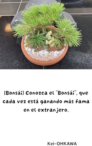 [Bonsái] Conozca el Bonsái, que cada vez está ganando más fama en el extranjero.