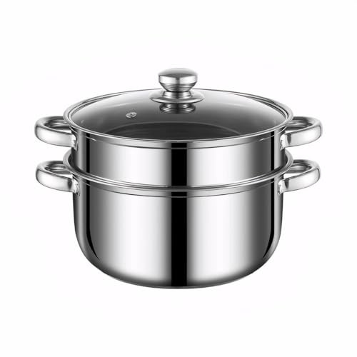 24cm 2 Tier Essentials Steamer Cooking,Stainless Steel Food Steamer for Vegetable,Dumpling & Induction Hob,Oven-Safe Induction Pans with Vented Glass Lid,Cookware Pot & Cool Twin Handles
