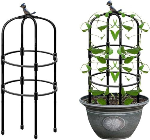 Obélisque de Jardin,Treillage Plantes grimpantes,Plante grimpante Exterieur,Stable Cage à tomates,Jardinière for Roses,Facile à démonter,Stable,terrasse (Size : 20 * 120cm/0.7 * 3.9ft)