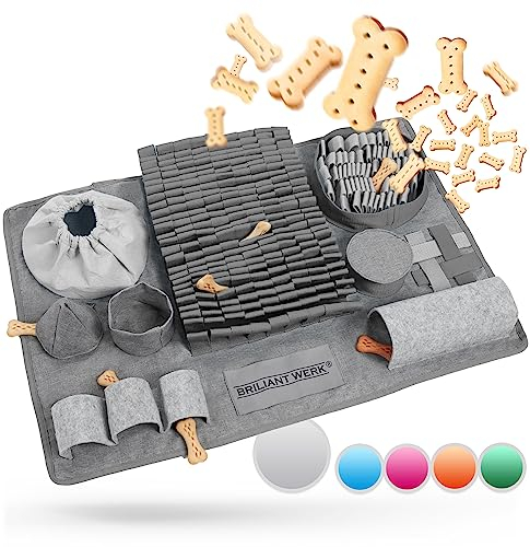 Briliantwerk® Schnüffelteppich Hund – Extrem widerstandsfähiges Material - 10 Trainingselemente und 3 Schwierigkeitsstufen – Das Intelligenzspielzeug für Hunde jeder Größe (Grau)