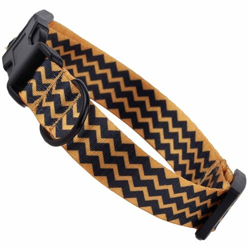 Hundehalsband für kleine und mittelgroße Hunde - Verstellbares Halsband aus Nylon (Charlie, S)
