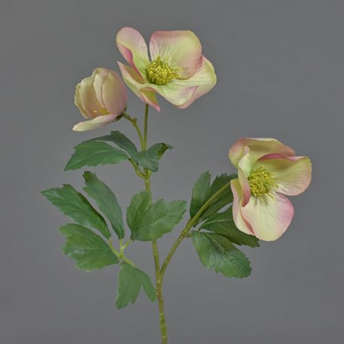 artplants.de Künstliche Christrose AKRAB, Creme-pink, 45cm, Ø5-8cm - Helleborus Kunstpflanze