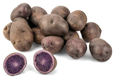 Blaue Kartoffeln aus Deutschland | Blaue Trüffelkartoffeln | Gourmet Speisekartoffeln in Blau - vorwiegend festkochend (800 g)