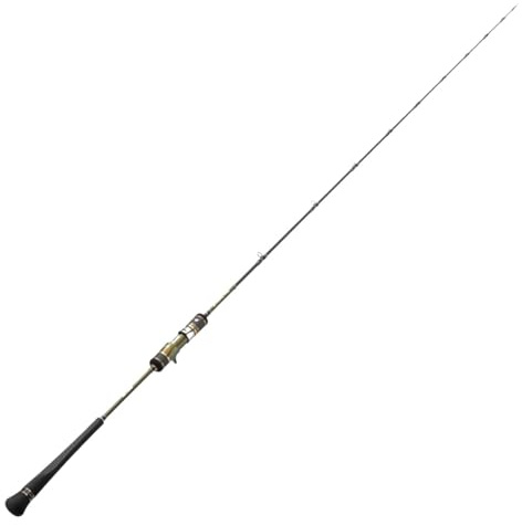 Hearty Rise 1,77m 500g Slow Jigging III - Baitcaster Rute zum Hochseefischen, Bootsrute zum Meeresangeln, Meeresrute zum Dorschangeln
