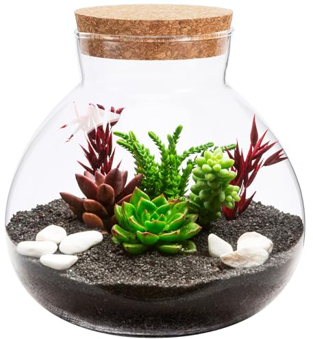 Terrarium en verre respectueux de l'environnement avec couvercle en liège – Bouteille de micro paysage pour plantes grasses et plantes décoratives – Idéal pour la décoration et le rangement de la