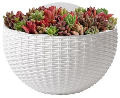 Vases muraux pour d'intérieur, pot suspendu en rotin synthétique pour intérieur - Boîte élégante décoration semi-circulaire pour orchidée Impatiens Begonie Pothos Petunie