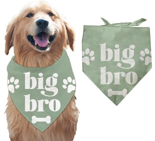 Arricraft 1 Stück Großer Bruder Haustierbandana, Grüne Knochen Pfotenabdrücke, Großer Bruder Worte, Welpenschal aus Baumwolle, Dekorative Halskrause für Hunde