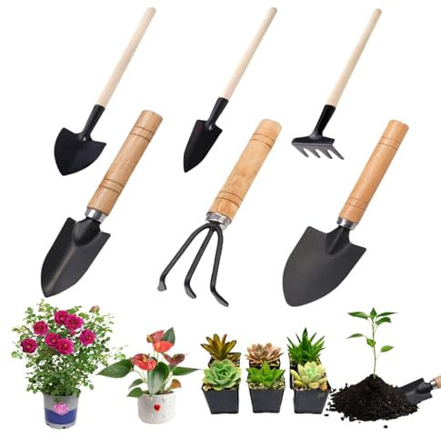 Mini Attrezzi da Giardino, 6 Pezzi Mini Giardinaggio Attrezzi Set di Attrezzi da Piante Piccola Rastrello Pala con Manico in Legno per Piante in Vaso di Fiori piantine di Piante Bonsai