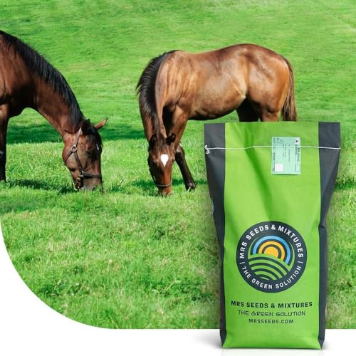 Grassamen Pferdeweide - Low fructan mix - 5 Kilo für 500 m² - Sehr niedriger Fruktangehalt - Ideal für Pferde & Alpakas - Weidegras für Beweidung, Heu- und Silageproduktion - MRS Seeds