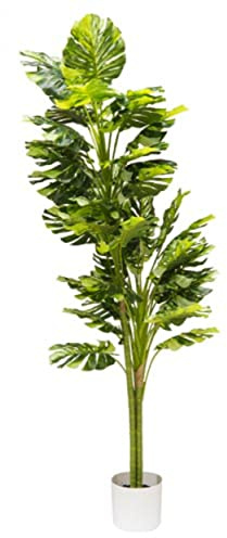 VEA SRL PIANTA G. Monstera REALTOUCH 160cm57990
