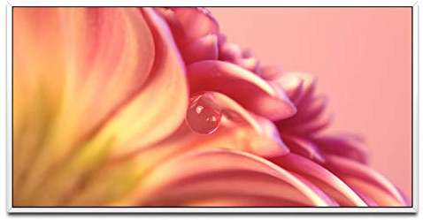 Makroaufnahme ca. 130x70cm Wandbild inklusive Schattenfugenrahmen weiss - Panorama Leinwand Bild XXL Format Wandbilder Wohnzimmer Wohnung Deko Kunstdrucke