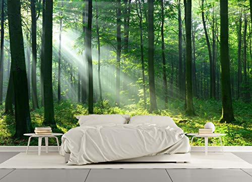 SILK ROAD EU™ Papier Peint Soie Panoramique 3D Forêt Trompe l'oeil, 500 × 280cm, Poster Geant Mural Personnalisé, Paysage Nature vert, pour Salon Chambre Chambre restaurant Décoration Murale