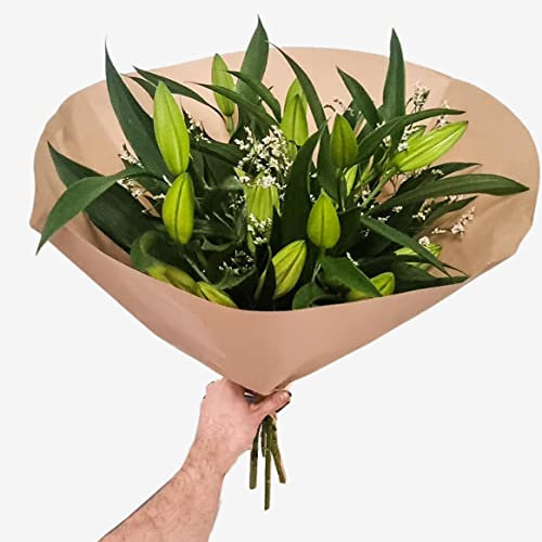Just White Lilies - Stunning Floral Bouquet, Fresh Flowers Delivered Next Day Prime Delivery, Perfect for Home, Scented Fresh Flower Gift