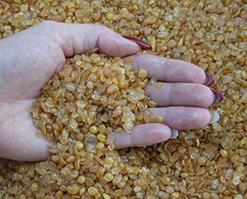 Holzleim Bindan Knochenleim Glutinleim 500 g biologisch, zu 100% abbaubar ohne Konservierungsmittel inkl. Leimpsachtel und Pinsel von E-Com24 (Knochenleim 500 gr)