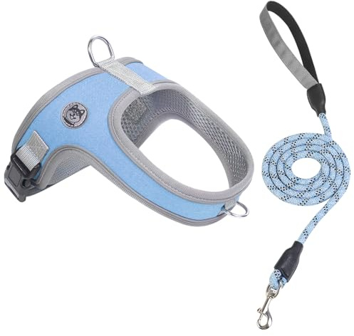 Dog Harness and Leash Set, Over The Head Saddle Style Pet Harness | Lightweight Breathable Air Mesh, Night Safety Reflective, No Pull Adjustable Dog Vest for Medium Small Dogs Harness 2 D-Rings