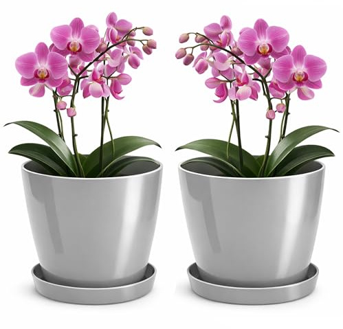 PECZEKO Blomkruka glänsande, planteringskruka av ytterkruka plast dekorativ kruka för, stora och små växter, set om 2 blomkrukor med underlägg, blomkruka örtkruka, grå, diameter 16 cm