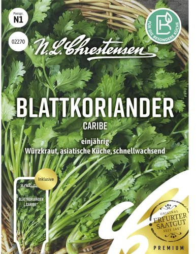 Blattkoriander Caribe Samen, Saatgut