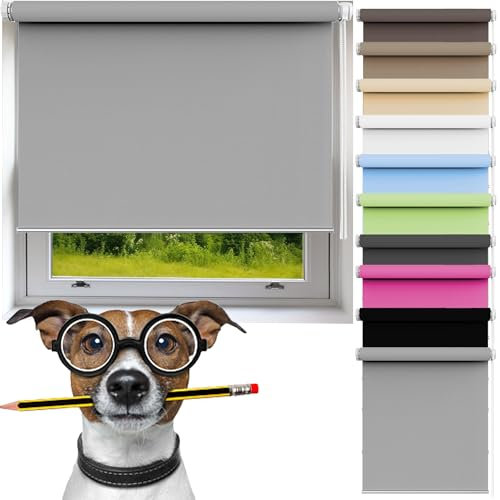 Seitenzugrollo 30 x 210 cm Sichtschutz Rollo Seitenzugrollo Verdunkelung für Schlafzimmer, Badezimmer, Wohnzimmer Fenster, Grau