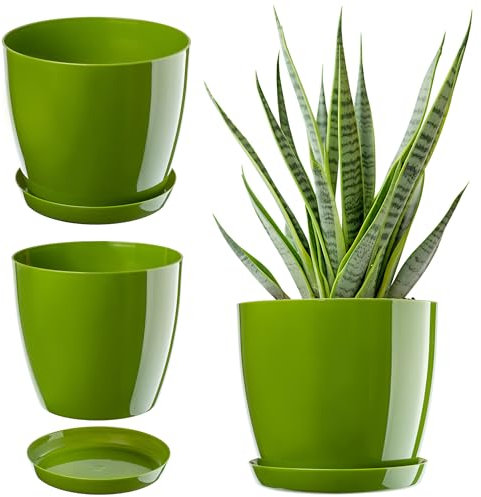 KADAX Flowerpot, fioriera rotonda con sottovaso, Ø 28 cm, elegante vaso in plastica per interni, fiori e piante, (Verde)