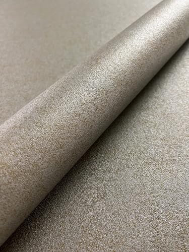 NEWROOM Papier peint Argent Couleur Unie Intissé - Moderne Or Métallique Structure Brillance Couleur Unie